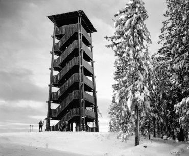 Tryvannstårnet, grantrær, snø, mann, skiløper