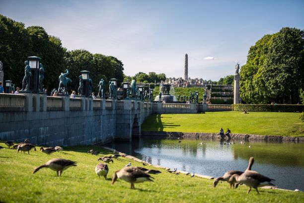 Vigelandsparken med Monolitten i bakgrunnen. Broa med skulpturer til venstre i bilde. Gressplen og dam, flere gjess på gresset foran i bildet